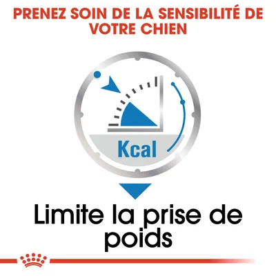Texte : Prenez soin de la sensibilité de votre chien. Kcal. Limite la prise de poids.