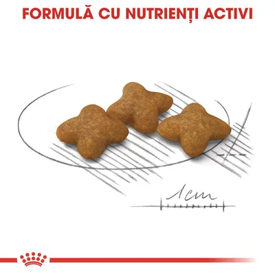 Trei crochete în formă de stea, dimensiune aproximativ 1 cm, text vizibil: FORMULĂ CU NUTRIENȚI ACTIVI.