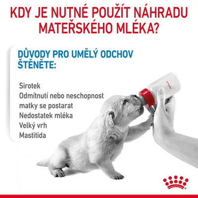 Kdy je nutné použít náhradu mateřského mléka? Důvody pro umělý odchov štěněte: Sirotek, odmítnutí nebo neschopnost matky, nedostatek mléka, velký vrh, mastitida. Štěně pije z lahvičky.