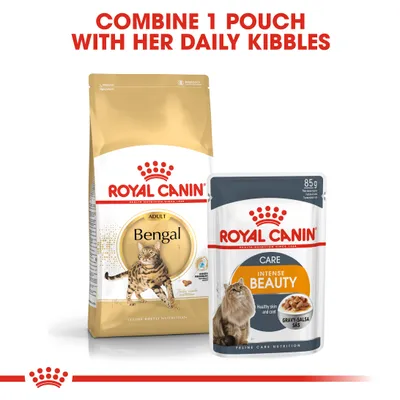 Instructional image showing Royal Canin Bengal dry food and Intense Beauty pouch with text: Combine 1 pouch with her daily kibbles.