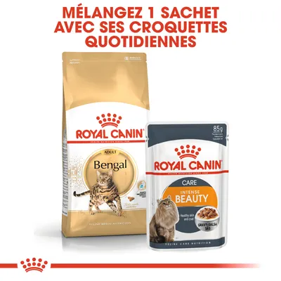 Mélangez 1 sachet avec ses croquettes quotidiennes. Sacs Royal Canin Bengal Adult et Royal Canin Intense Beauty Care 85 g visibles, alimentation pour chats.