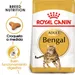 Royal Canin Bengal Adult