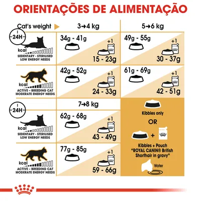 Tabela de orientações de alimentação para gatos por peso (3–4 kg, 5–6 kg, 7–8 kg) e nível de atividade, com doses diárias em gramas de ração seca e húmida. Inclui referência a água.
