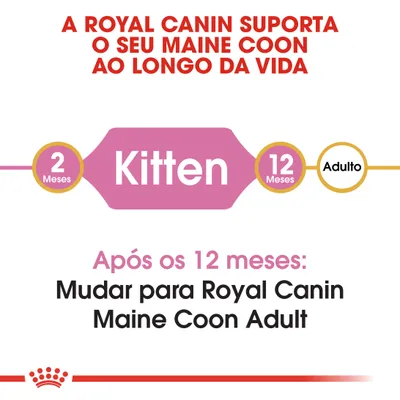 A Royal Canin suporta o seu Maine Coon ao longo da vida. 2 meses Kitten, 12 meses Adulto. Após os 12 meses: Mudar para Royal Canin Maine Coon Adult.