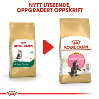 Royal Canin Maine Coon Kitten