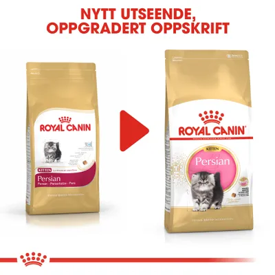 Royal Canin Persian Kitten