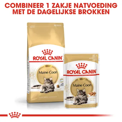 Royal Canin Adult Maine Coon kattenvoer: grote zak brokken en 85g natvoeding. Tekst: Combineer 1 zakje natvoeding met de dagelijkse brokken.