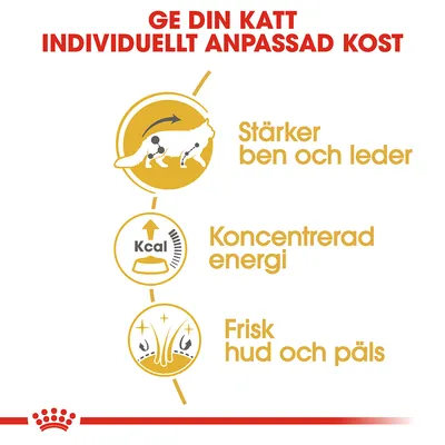 Ge din katt individuellt anpassad kost. Stärker ben och leder, koncentrerad energi, frisk hud och päls.