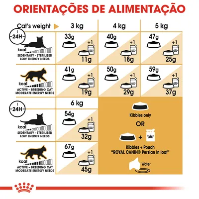 Tabela de orientações de alimentação para gatos sedentários e ativos, com doses diárias em gramas para 3–6 kg, opções de ração seca ou combinada com saqueta Royal Canin Persian in loaf.