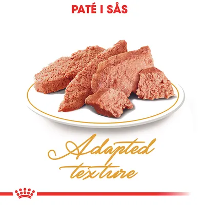 Paté i sås på tallrik, text: Adapted texture