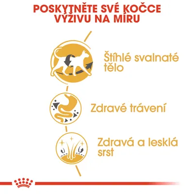 Poskytněte své kočce výživu na míru: Štíhlé svalnaté tělo, zdravé trávení, zdravá a lesklá srst.