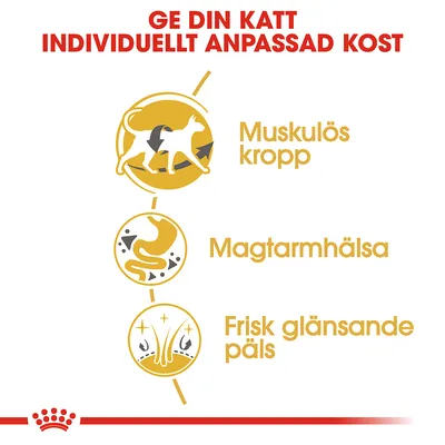 Ge din katt individuellt anpassad kost. Muskulös kropp, magtarmhälsa, frisk glänsande päls.