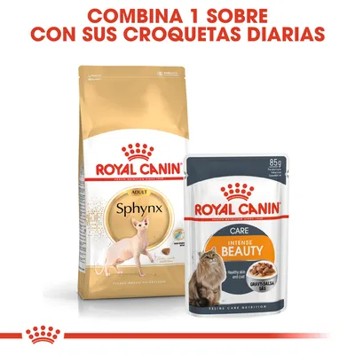 ROYAL CANIN Sphynx Adult pienso para gatos y sobre ROYAL CANIN Intense Beauty Care en salsa 85 g. Texto: Combina 1 sobre con sus croquetas diarias.