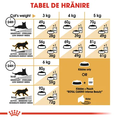 Tabel de hrănire pentru pisici Royal Canin: cantități zilnice recomandate în funcție de greutate (3–6 kg) și nivel de activitate, cu opțiuni hrană uscată sau combinată cu plic Intense Beauty.
