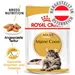 Royal Canin Maine Coon Adult Katzen Nassfutter in Soße