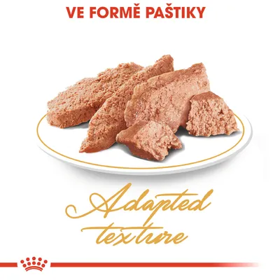 Kousky paštiky na talíři, text: VE FORMĚ PAŠTIKY, Adapted texture. Zobrazuje konzistenci produktu.