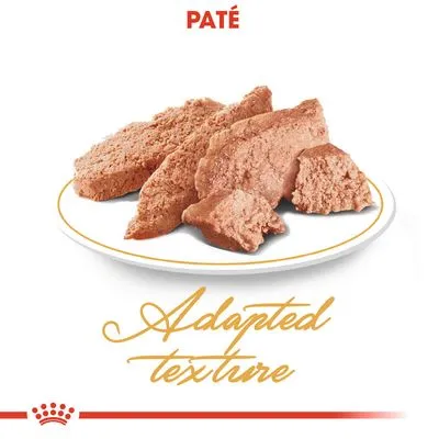 Paté op een bord, tekst: Adapted texture. Bovenaan staat het woord PATÉ in rood.