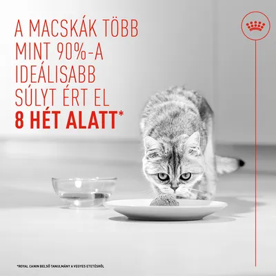 Royal Canin Light Weight Care AirLift Mousse