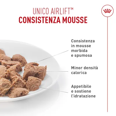 Royal Canin Light Weight Care AirLift Mousse