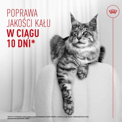 Royal Canin Digestive Care AirLift Mousse