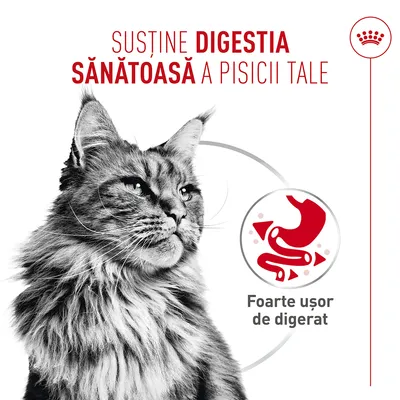 Royal Canin Digestive Care AirLift Mousse Royal Canin Digestive Care AirLift Mousse