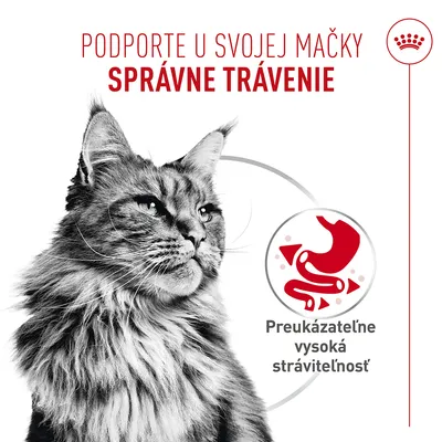Royal Canin Digestive Care AirLift Mousse Royal Canin Digestive Care AirLift Mousse