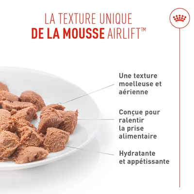 Royal Canin Digestive Care AirLift Mousse