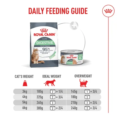 Royal Canin Digestive Care AirLift™ Mousse