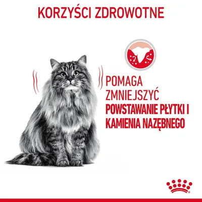 Korzyści zdrowotne. Pomaga zmniejszyć powstawanie płytki i kamienia nazębnego – tekst obok zdjęcia kota i ikony zęba.