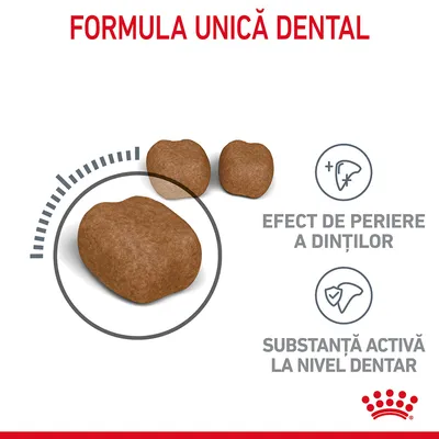 FORMULA UNICĂ DENTAL, efect de periere a dinților, substanță activă la nivel dentar. Imagine cu crochete maro și pictograme explicative.
