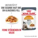Royal Canin Hair & Skin Care in Gelee