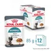 Royal Canin Hairball Care in Saus