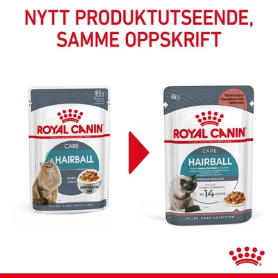 Royal Canin Hairball Care i saus