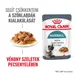 Royal Canin Hairball Care szószban