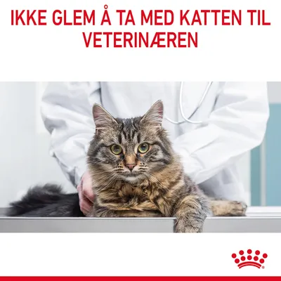 Royal Canin Hair & Skin Care