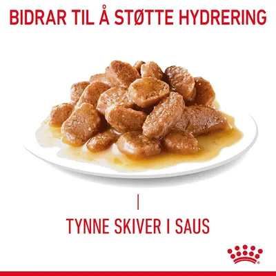 Royal Canin Light Weight Care i saus