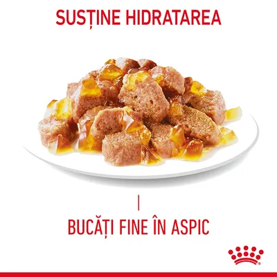 Susține hidratarea. Bucăți fine în aspic prezentate pe farfurie. Text vizibil: SUSTINE HIDRATAREA, BUCĂȚI FINE ÎN ASPIC.