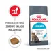 Royal Canin Urinary Care