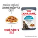 Royal Canin FCN Urinary Care v želé