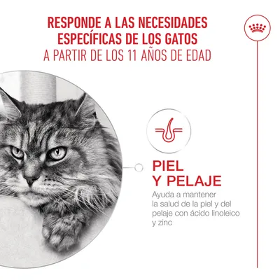 Royal Canin Ageing 11+ en gelatina
