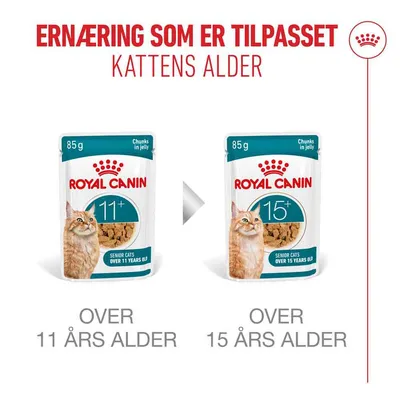 Royal Canin Ageing 11+ i gelé