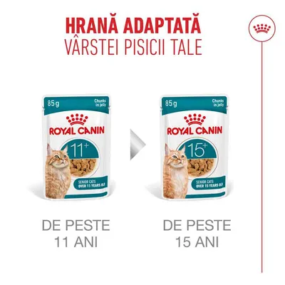 Royal Canin hrană umedă pentru pisici senior, plic de 85 g pentru pisici de la 11 ani și de la 15 ani. Două variante de produs alăturate, cu indicație de vârstă. Royal Canin hrană umedă pentru pisici senior, plic de 85 g pentru pisici de la 11 ani și de la 15 ani. Două variante de produs alăturate, cu indicație de vârstă.