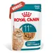 Royal Canin Ageing 11+ w galarecie