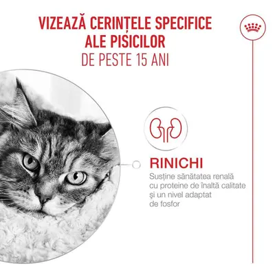 Notă: Cerințe speciale pentru pisici de peste 15 ani. Susține sănătatea rinichilor cu proteină de înaltă calitate și un conținut adaptat de fosfor. Notă: Cerințe speciale pentru pisici de peste 15 ani. Susține sănătatea rinichilor cu proteină de înaltă calitate și un conținut adaptat de fosfor.