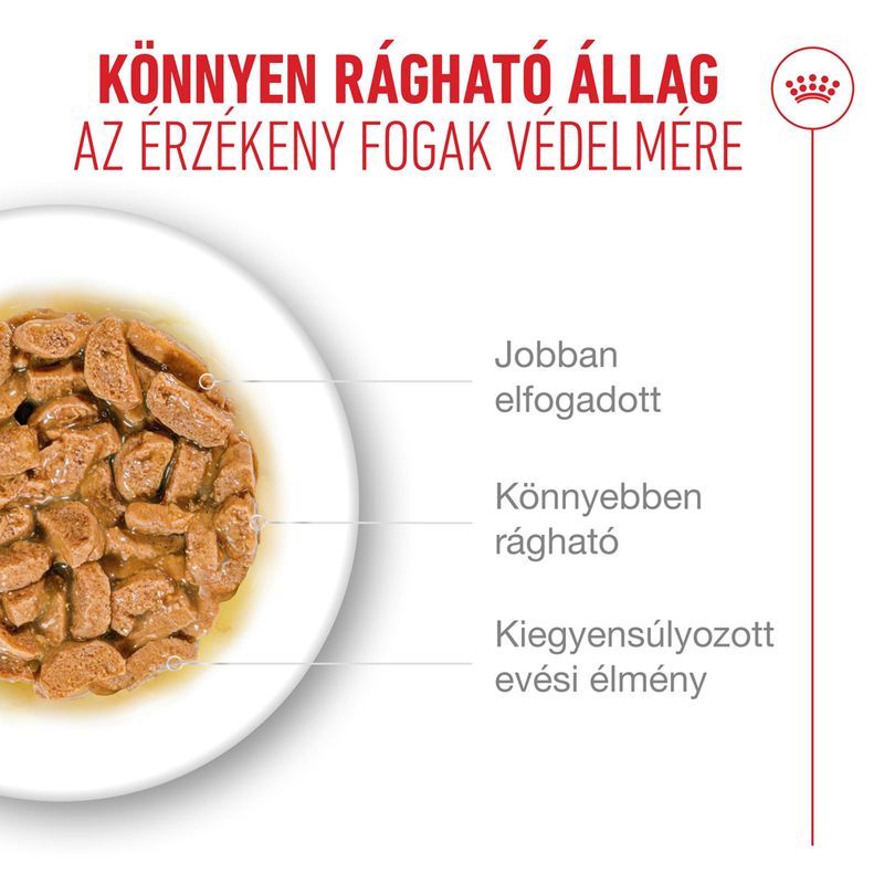 Royal Canin Ageing 15+ szószban