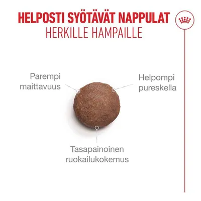 Grafiikka, jossa on nappula ja suomenkielinen teksti: 'Helposti syötävät nappulat herkille hampaille, parempi maku, helpompi pureskella, tasapainoinen ruokailukokemus'. Grafiikka, jossa on nappula ja suomenkielinen teksti: 'Helposti syötävät nappulat herkille hampaille, parempi maku, helpompi pureskella, tasapainoinen ruokailukokemus'.
