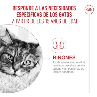 Royal Canin Ageing 15+ Mousse