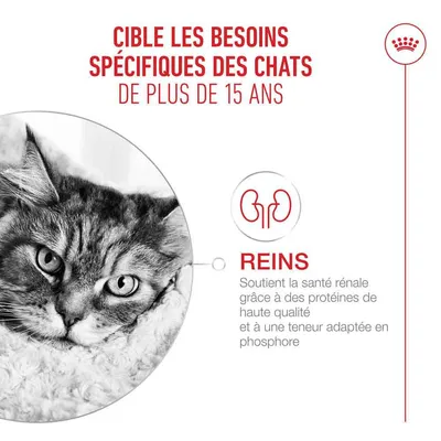 Royal Canin Ageing 15+ Mousse