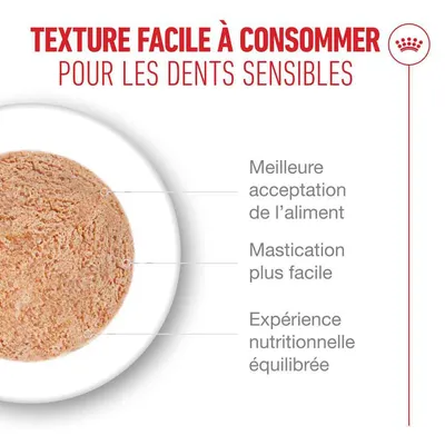 Royal Canin Ageing 15+ Mousse