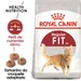 Royal Canin Regular Fit